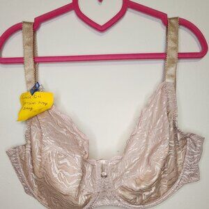 Fantasie Beige Lace Bra